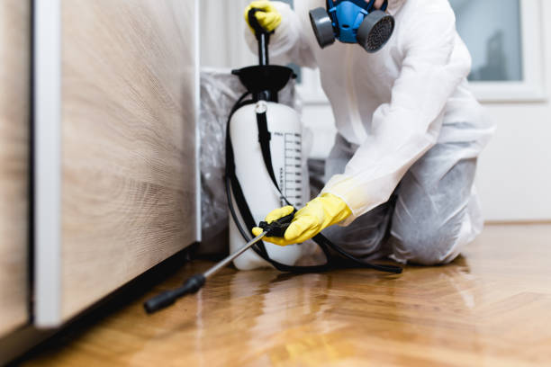 Best Pest Inspection Near Me  in Jeffersonville, OH