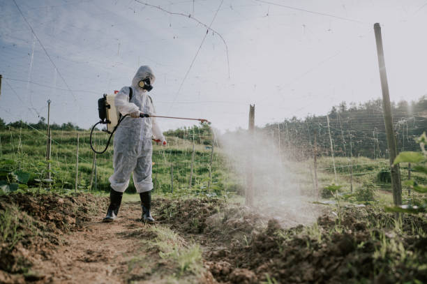 Best Mosquito Control Services  in Jeffersonville, OH