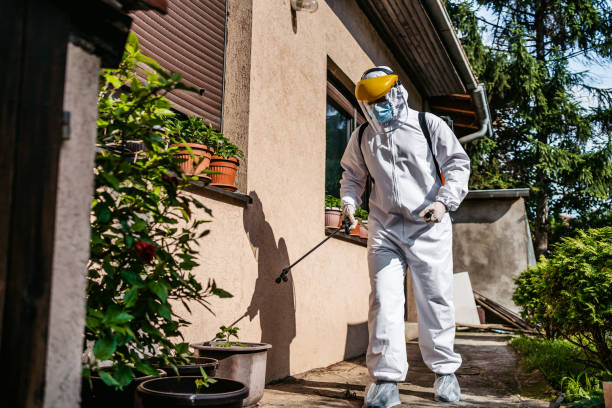 Best Cockroach Control Services  in Jeffersonville, OH