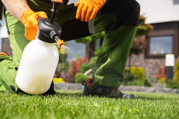 Best Pest Control for Restaurants  in Jeffersonville, OH