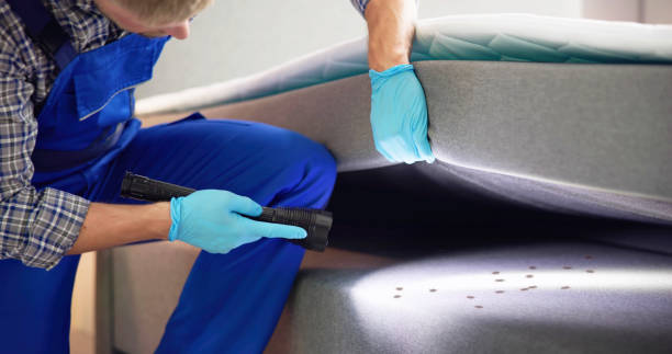 Best Pest Prevention Services  in Jeffersonville, OH