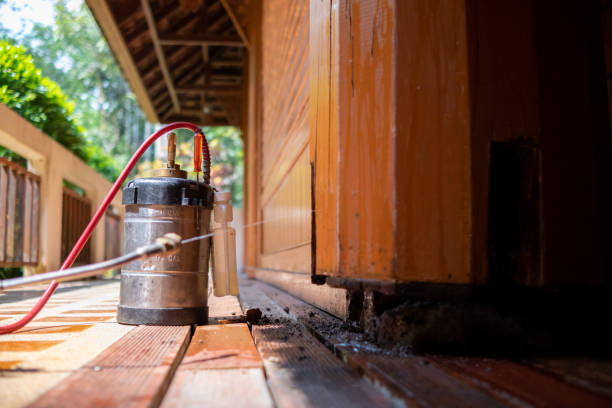 Best Ant Control Services  in Jeffersonville, OH