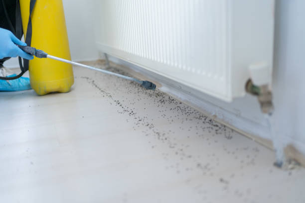Professional Pest Control in Jeffersonville, OH