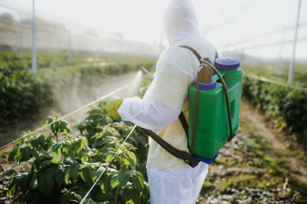 Best Wasp Removal Services  in Jeffersonville, OH